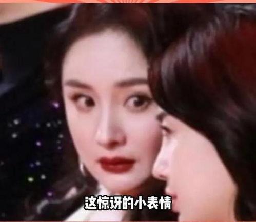 喜欢吃娱乐圈的瓜,揭秘明星幕后故事